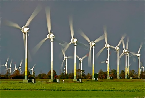 energy-frozen-fish-wind-farms-turbines_18081_600x450